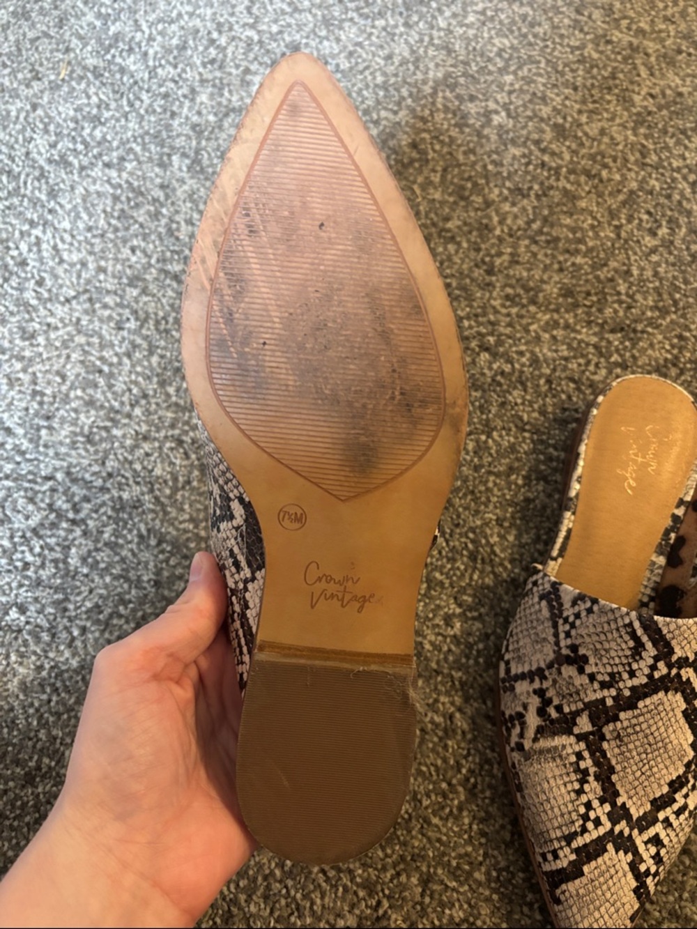 Crown Vintage Snake-Print Pointed Toe Mules - Beige & Black - Picture 2 of 3